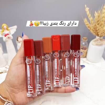 پک رژ مایع 6 تایی خوش رنگ برند بیوتی مدل کد 046 - فروشگاه عمده لوازم آرایشی کالای سید