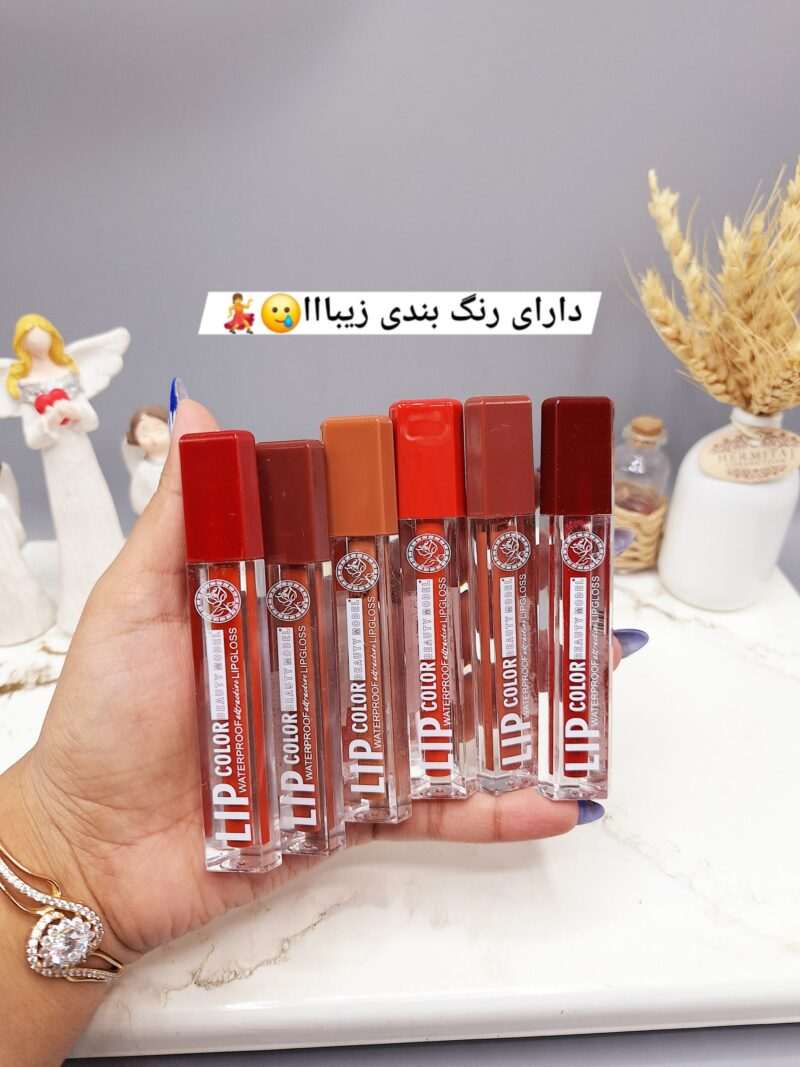 پک رژ مایع 6 تایی خوش رنگ برند بیوتی مدل کد 046 - فروشگاه عمده لوازم آرایشی کالای سید