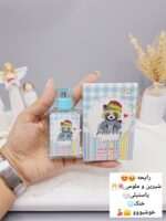 عطر شاد و جذاب روباه برند LADY LADY IDEA کد LD9105 - فروشگاه عمده لوازم آرایشی کالای سید