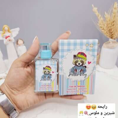 عطر شاد و جذاب روباه برند LADY LADY IDEA کد LD9105 - فروشگاه عمده لوازم آرایشی کالای سید